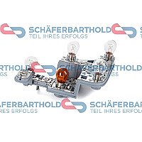 Galinio žibinto plata internetu