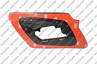 Žibinto apiplovimo purkštuko laikiklis internetu