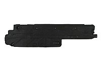 Dugno apsauga internetu