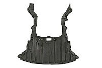 Apsauga po varikliu internetu