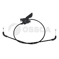 Kapoto trosas internetu