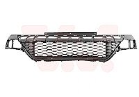 Priekinis bamperis internetu