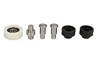 Stumdomų durelių skriemulys internetu