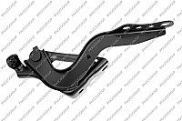 Kapoto lankstai internetu