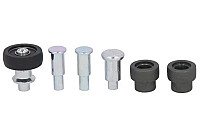 Stumdomų durelių skriemulys internetu