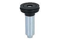 Stumdomų durelių skriemulys internetu