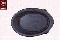 Priešrūkinio žibinto dangtelis internetu