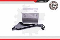 Stumdomų durelių skriemulys internetu