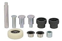 Stumdomų durelių skriemulys internetu