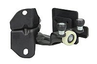 Stumdomų durelių skriemulys internetu