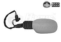 Veidrodėlis internetu