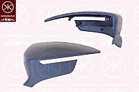 Veidrodėlio dangtelis internetu