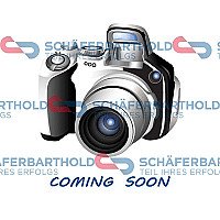 Bamperio apdailos juosta internetu