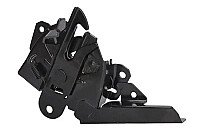 Kapoto spyna internetu