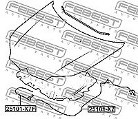 Kapoto trosas internetu