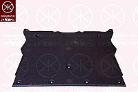 Dugno apsauga internetu