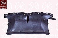 Oro nukreipėjas internetu