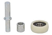 Stumdomų durelių skriemulys internetu