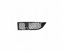 Bmw 7 (E65/E66), 2005.01-2008.10 Bamperio Grotelės - (Dešinė) internetu Bmw 7 (E65/E66), 2005.01-2008.10 Bamperio Grotelės - (Dešinė) internetu